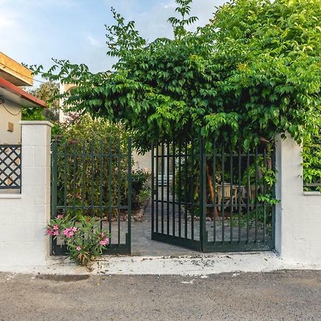 Hotel Ikaros Archangelos  Ngoại thất bức ảnh